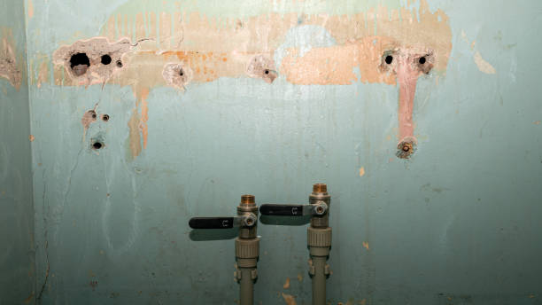 Best Ceiling water damage repair  in High Bridge, WA