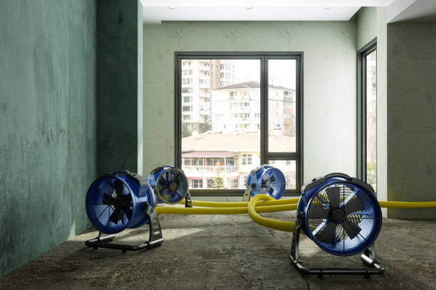 Best Fire Damage Restoration  in High Bridge, WA