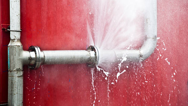 Local water damage restoration in WA