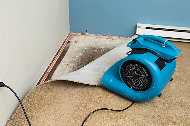 Best Residential water damage restoration  in High Bridge, WA